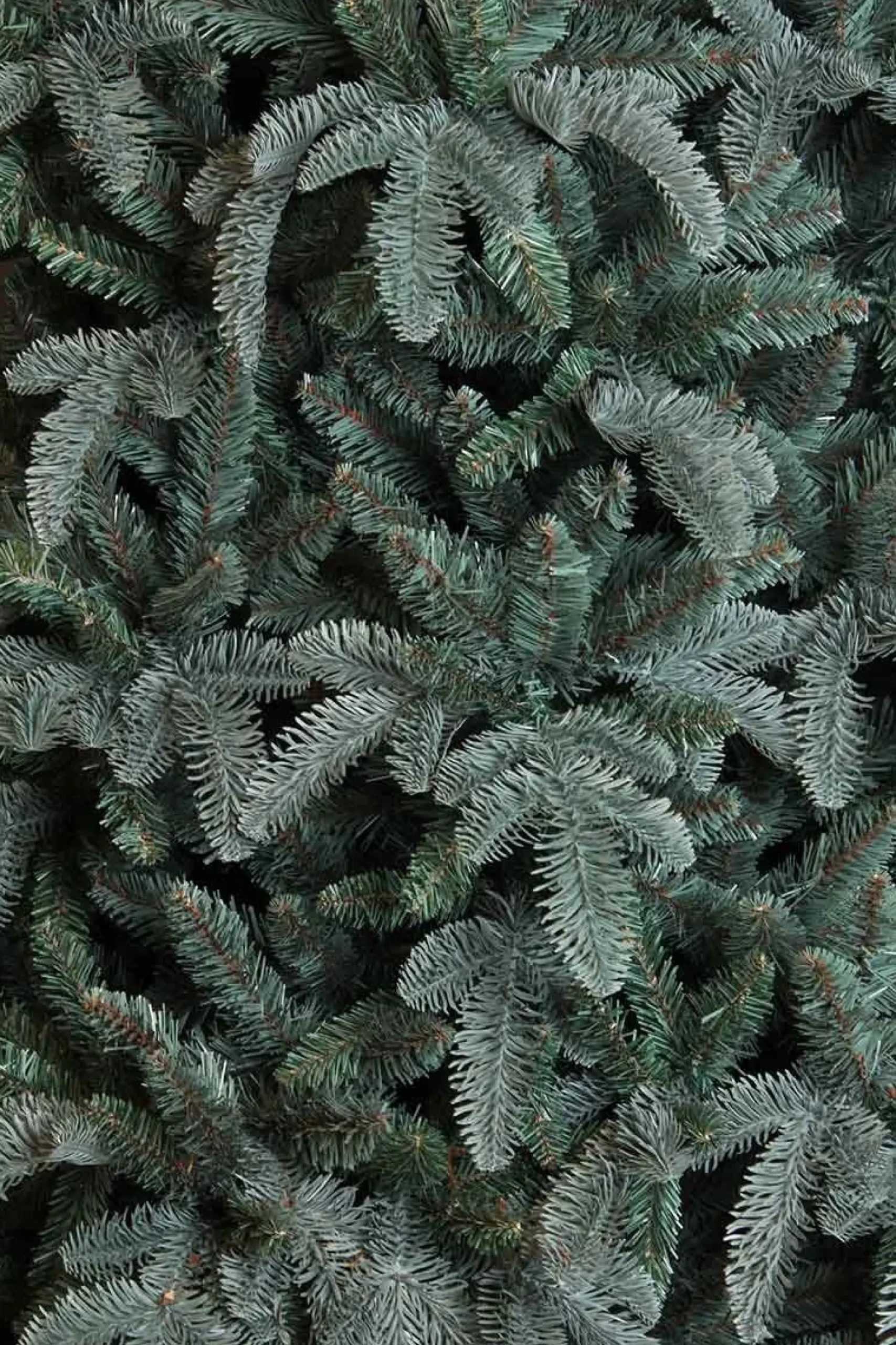 Triumph Tree Kunstkerstbomen^ Abies Nordmann Deluxe Kunstkerstboom 215 X 155 Cm - Forest Blue
