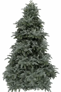 Triumph Tree Kunstkerstbomen^ Abies Nordmann Deluxe Kunstkerstboom 215 X 155 Cm - Forest Blue