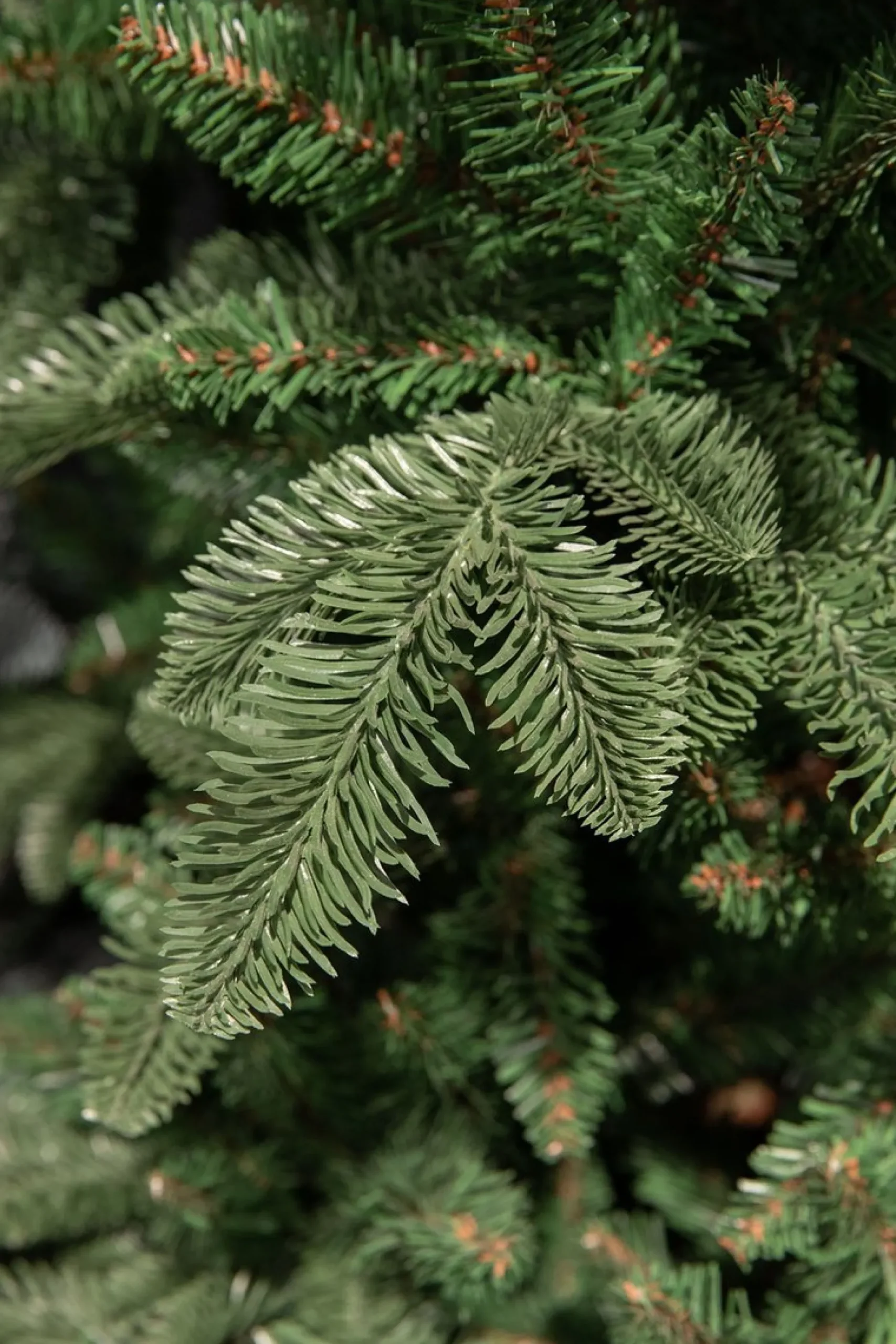 Triumph Tree Kunstkerstbomen^ Abies Nordmann Deluxe Kunstkerstboom - H60 X O53 Cm - Groen