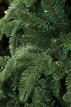 Triumph Tree Kunstkerstbomen^ Abies Nordmann Deluxe Kunstkerstboom - H60 X O53 Cm - Groen