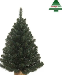 Triumph Tree Kunstkerstbomen^ Alpine Kunstkerstboom In Jute - H90 X O66 Cm - Groen