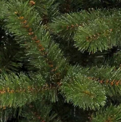 Triumph Tree Kunstkerstbomen^ Bristlecone Kunstkerstboom - H260 X O163 Cm - Groen 260 Cm