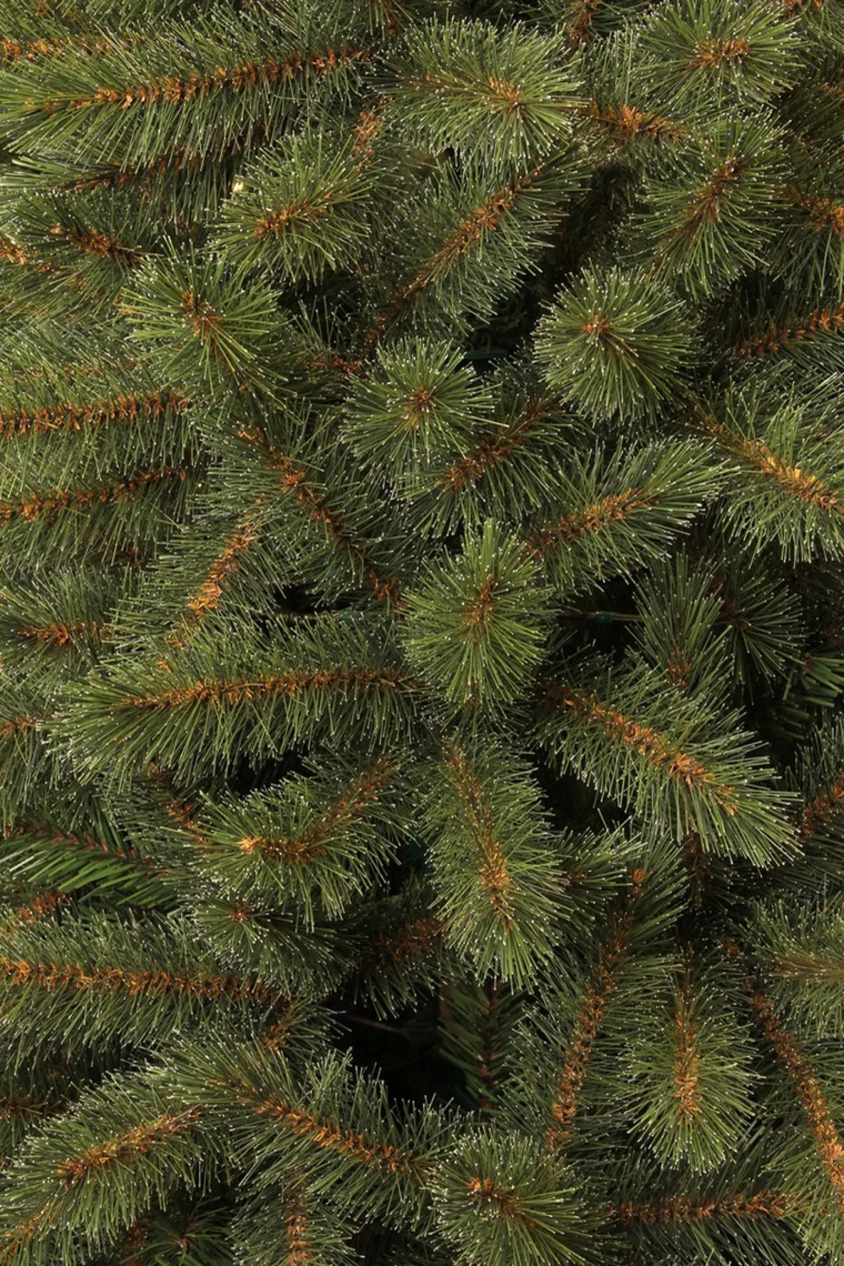Triumph Tree Kunstkerstbomen^ Bristlecone Kunstkerstboom - H260 X O163 Cm - Groen 260 Cm