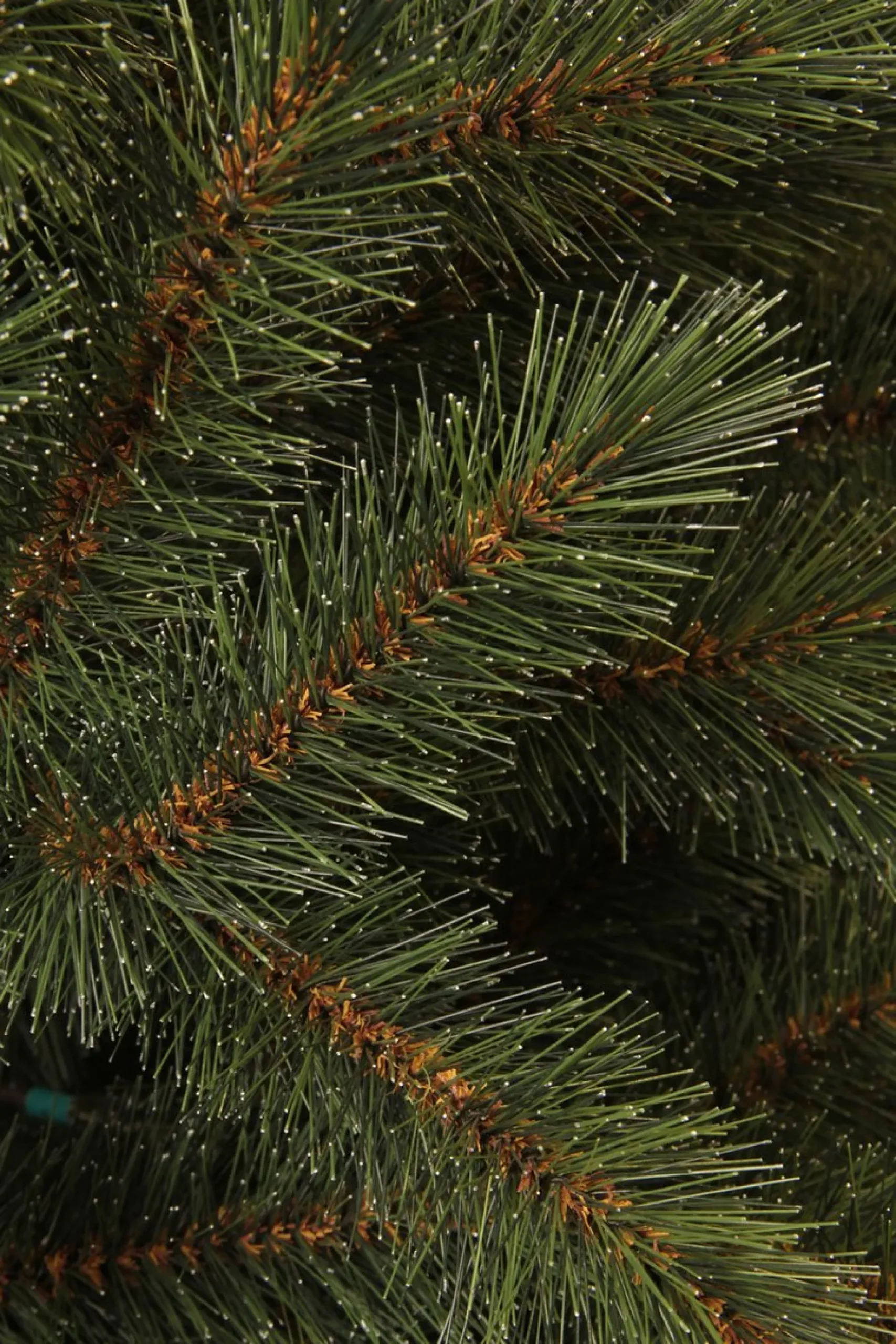 Triumph Tree Kunstkerstbomen^ Bristlecone Kunstkerstboom - H260 X O163 Cm - Groen 260 Cm