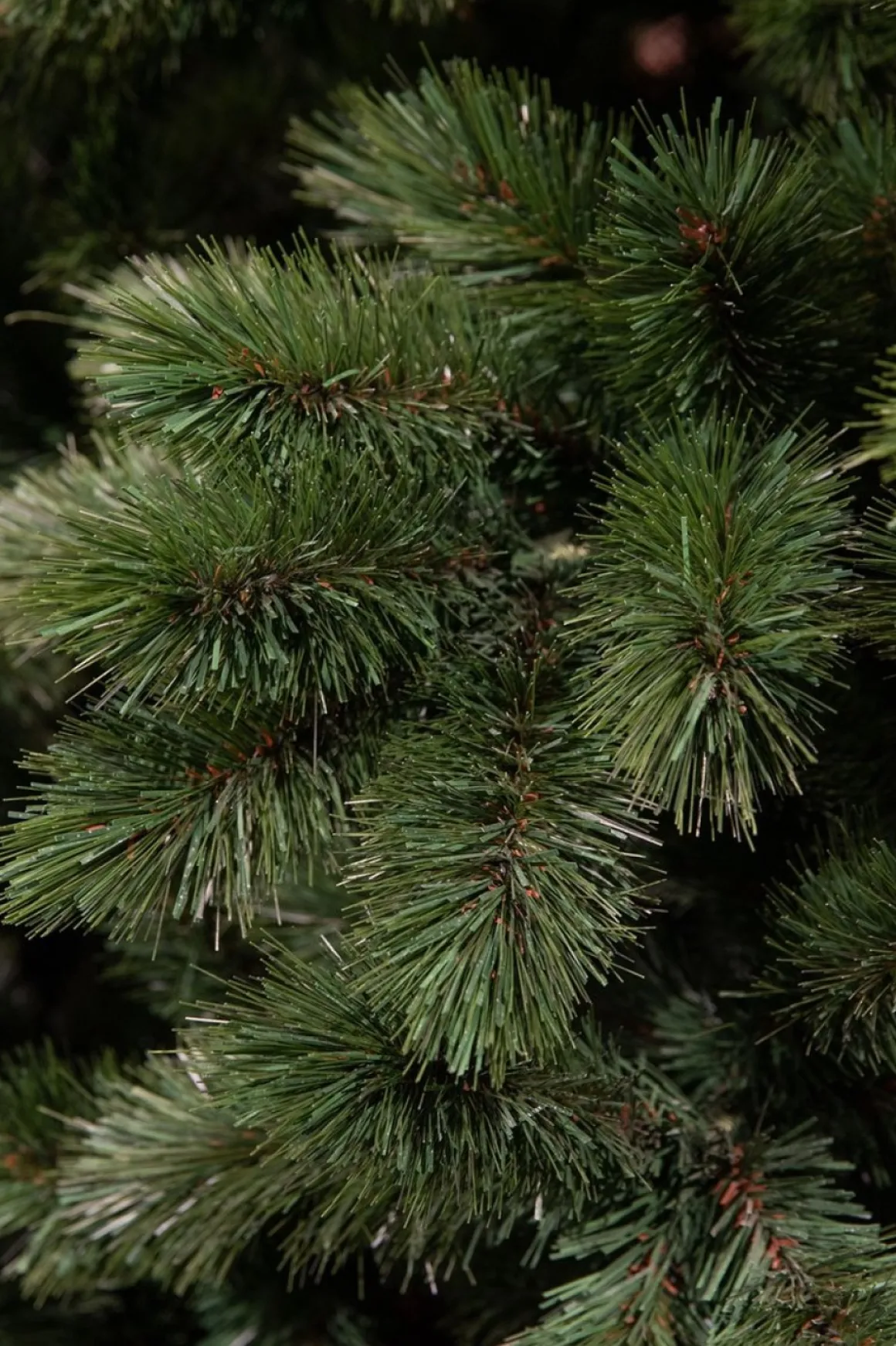 Triumph Tree Camden Guirlande - L270 Cm - Groen Store