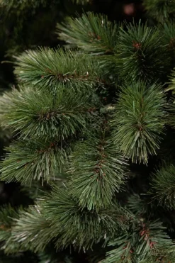Triumph Tree Camden Guirlande - L180 Cm - Groen Outlet