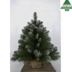 Triumph Tree Kunstkerstbomen^ Empress Spruce - Kunstkerstboom 60 Cm Hoog - Zonder Verlichting