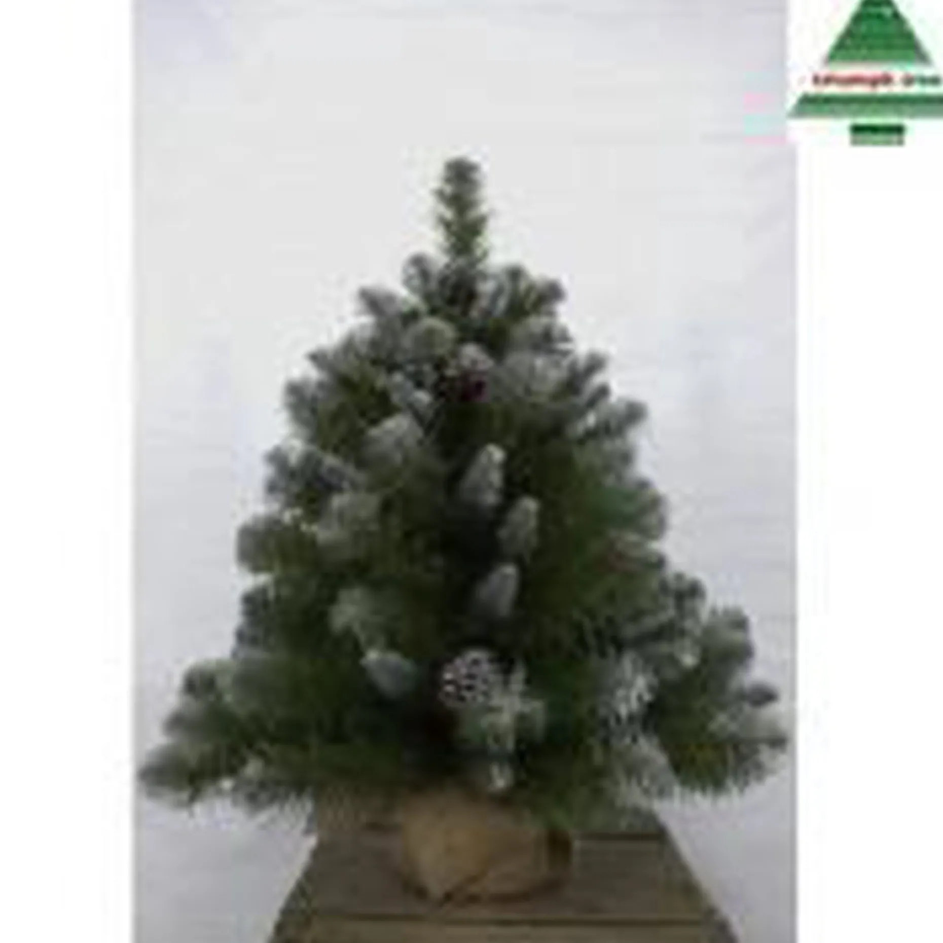 Triumph Tree Kunstkerstbomen^ Empress Spruce - Kunstkerstboom 60 Cm Hoog - Zonder Verlichting