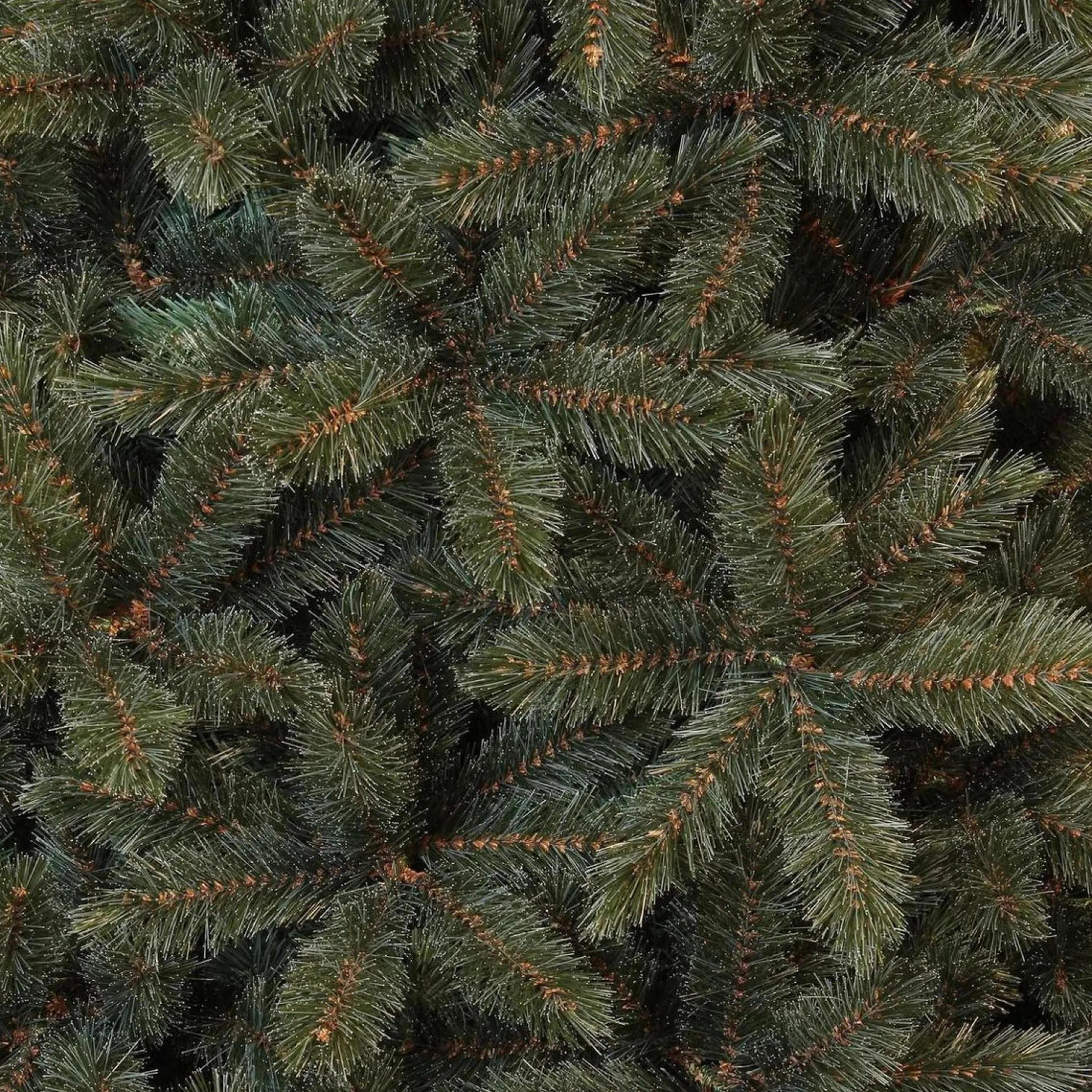 Triumph Tree Kunstkerstbomen^ - Forest Frosted Blauw Kerstboom Hoogte 215 Cm
