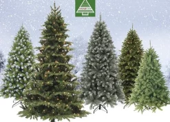 Triumph Tree Kunstkerstbomen^ - Forest Frosted Blauw Kerstboom Hoogte 215 Cm