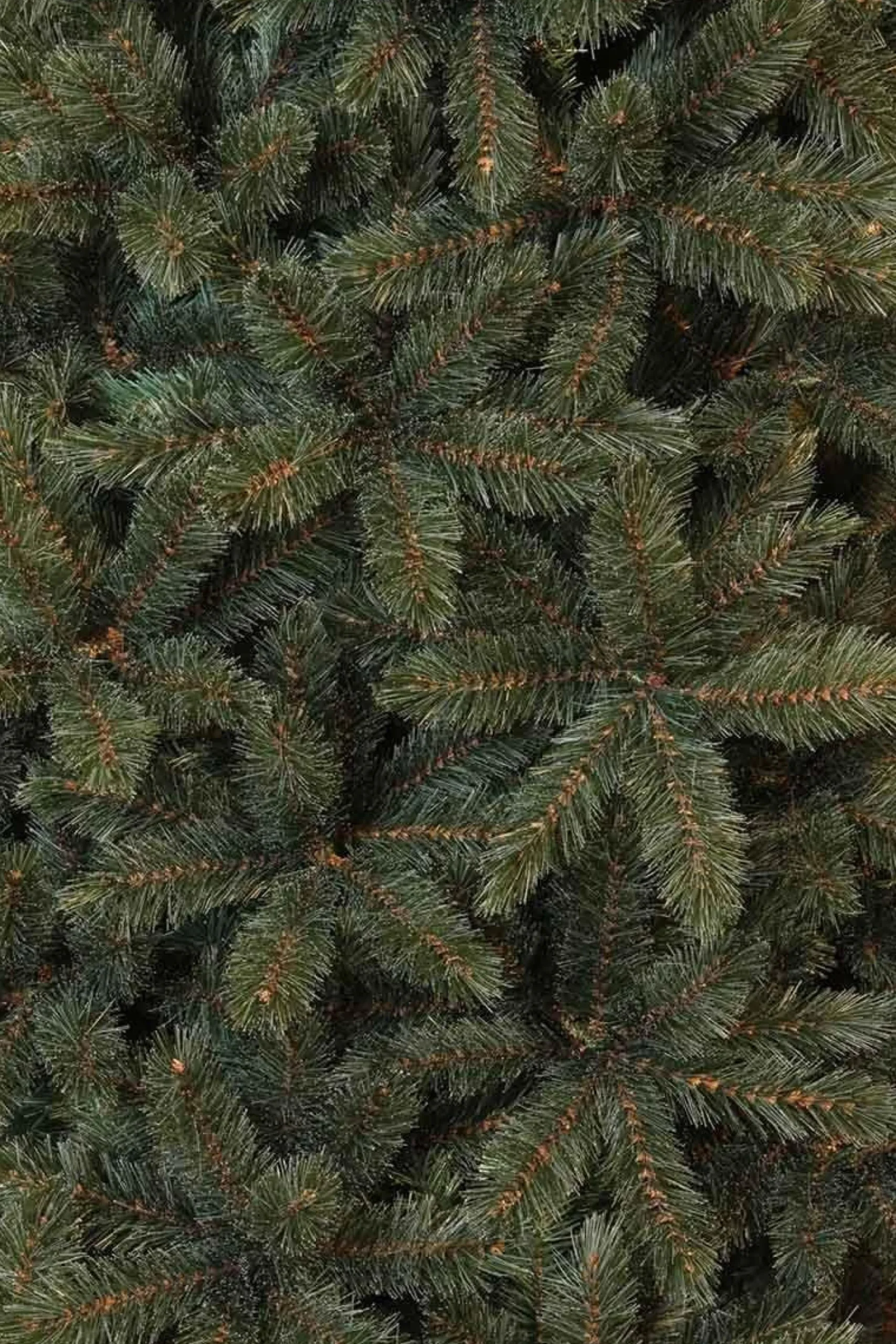 Triumph Tree Kunstkerstbomen^ - Forest Frosted Blauw Kerstboom Hoogte 215 Cm
