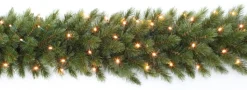 Triumph Tree Forest Frosted Guirlande Met Led Verlichting - L270 Cm - Groen Store