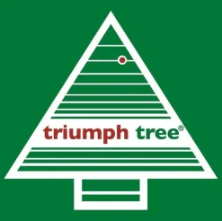 Triumph Tree Forest Frosted Kerstkrans Met Led Verlichting - O45 Cm - Groen Cheap
