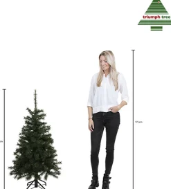 Triumph Tree Kunstkerstbomen^ Forest Frosted Kunstkerstboom - H120 X O99 Cm - Groen