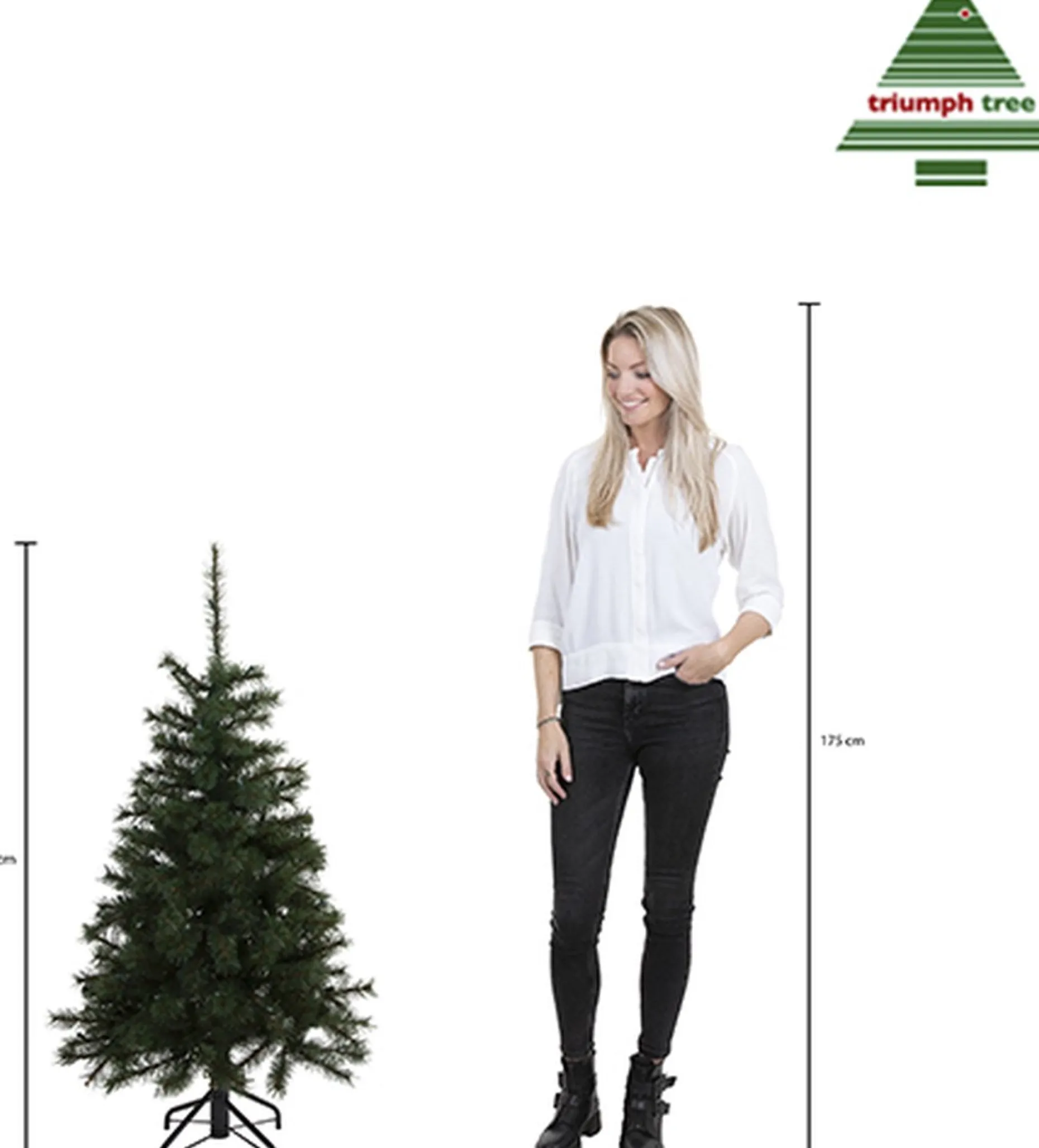 Triumph Tree Kunstkerstbomen^ Forest Frosted Kunstkerstboom - H120 X O99 Cm - Groen