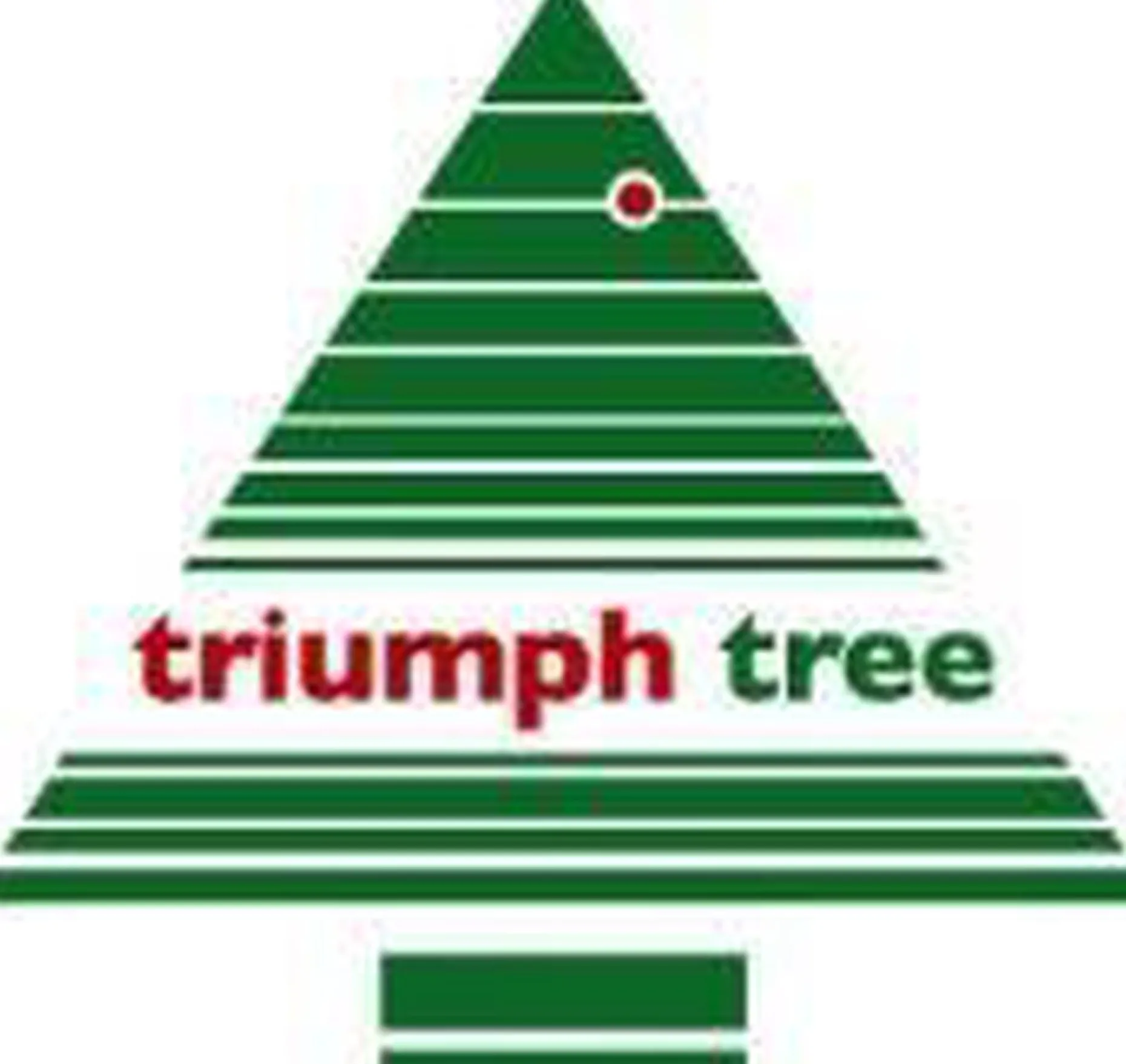 Triumph Tree Kunstkerstbomen^ Forest Frosted Kunstkerstboom - H120 X O99 Cm - Groen