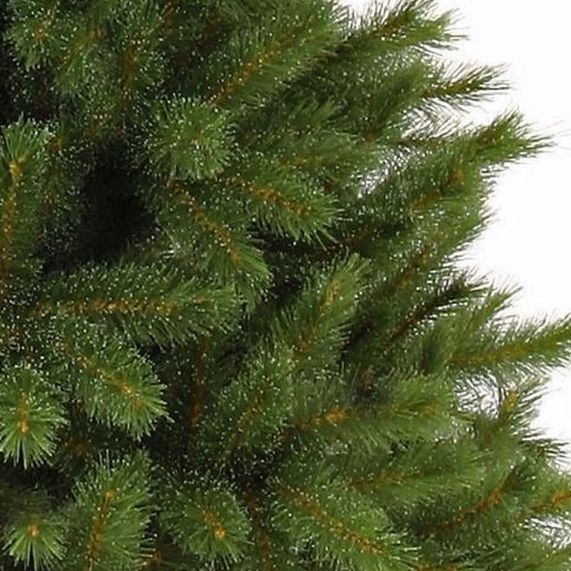 Triumph Tree Kunstkerstbomen^ Forest Frosted Kunstkerstboom - H155 X O119 Cm - Groen