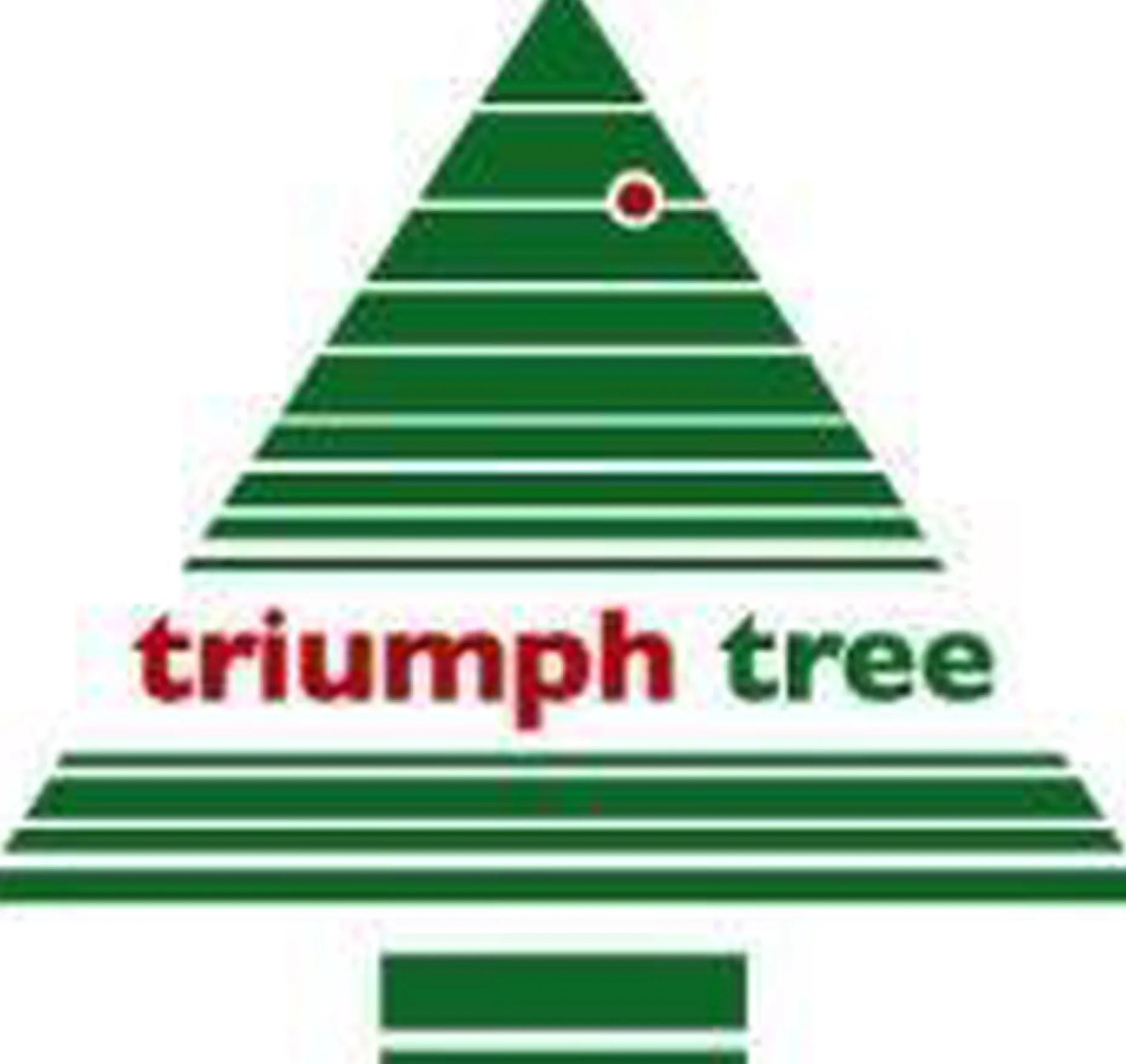 Triumph Tree Kunstkerstbomen^ Forest Frosted Kunstkerstboom - H155 X O119 Cm - Groen
