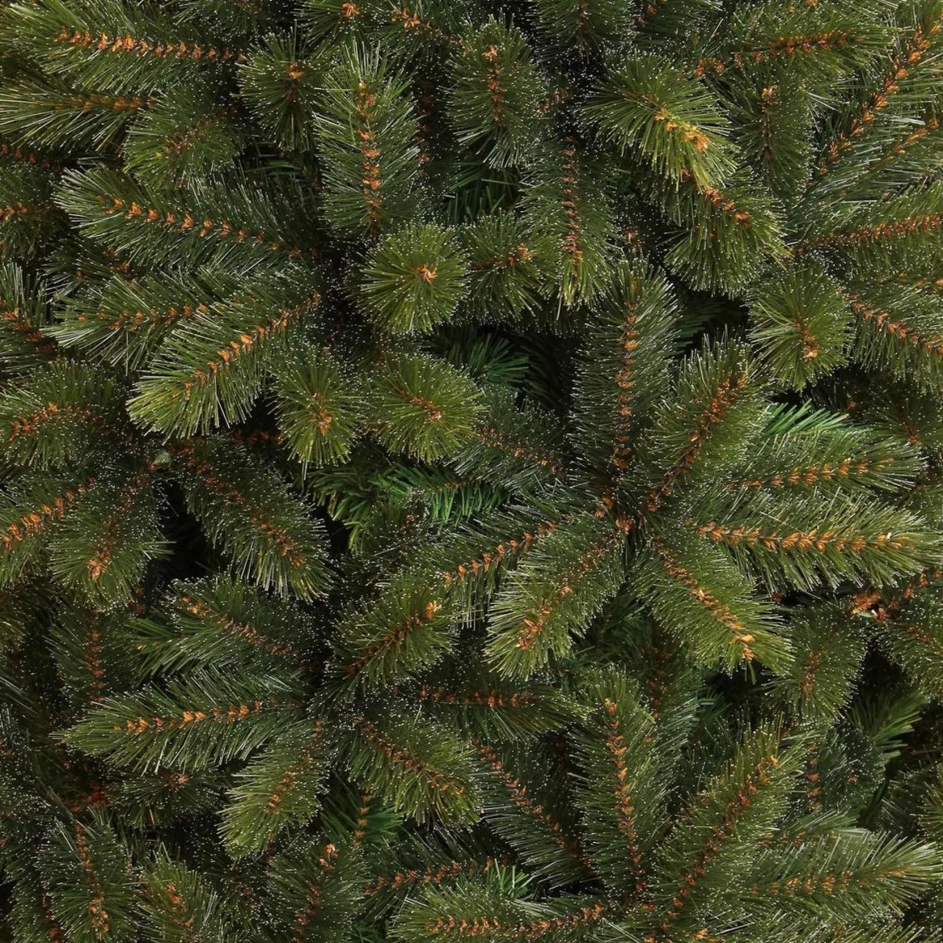 Triumph Tree Kunstkerstbomen^ Forest Frosted Kunstkerstboom - H155 X O119 Cm - Groen