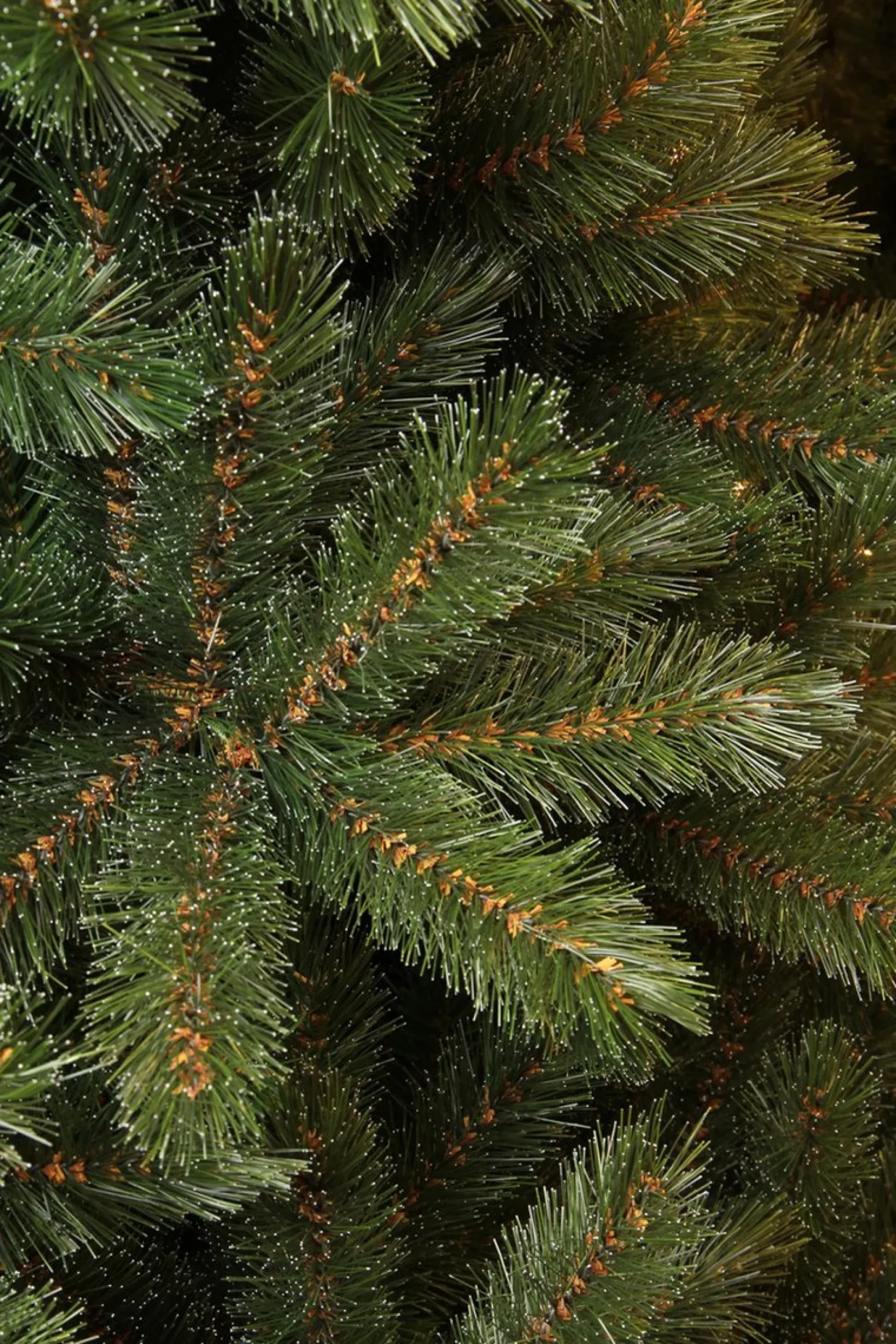 Triumph Tree Kunstkerstbomen^ Forest Frosted Kunstkerstboom - H155 X O119 Cm - Groen