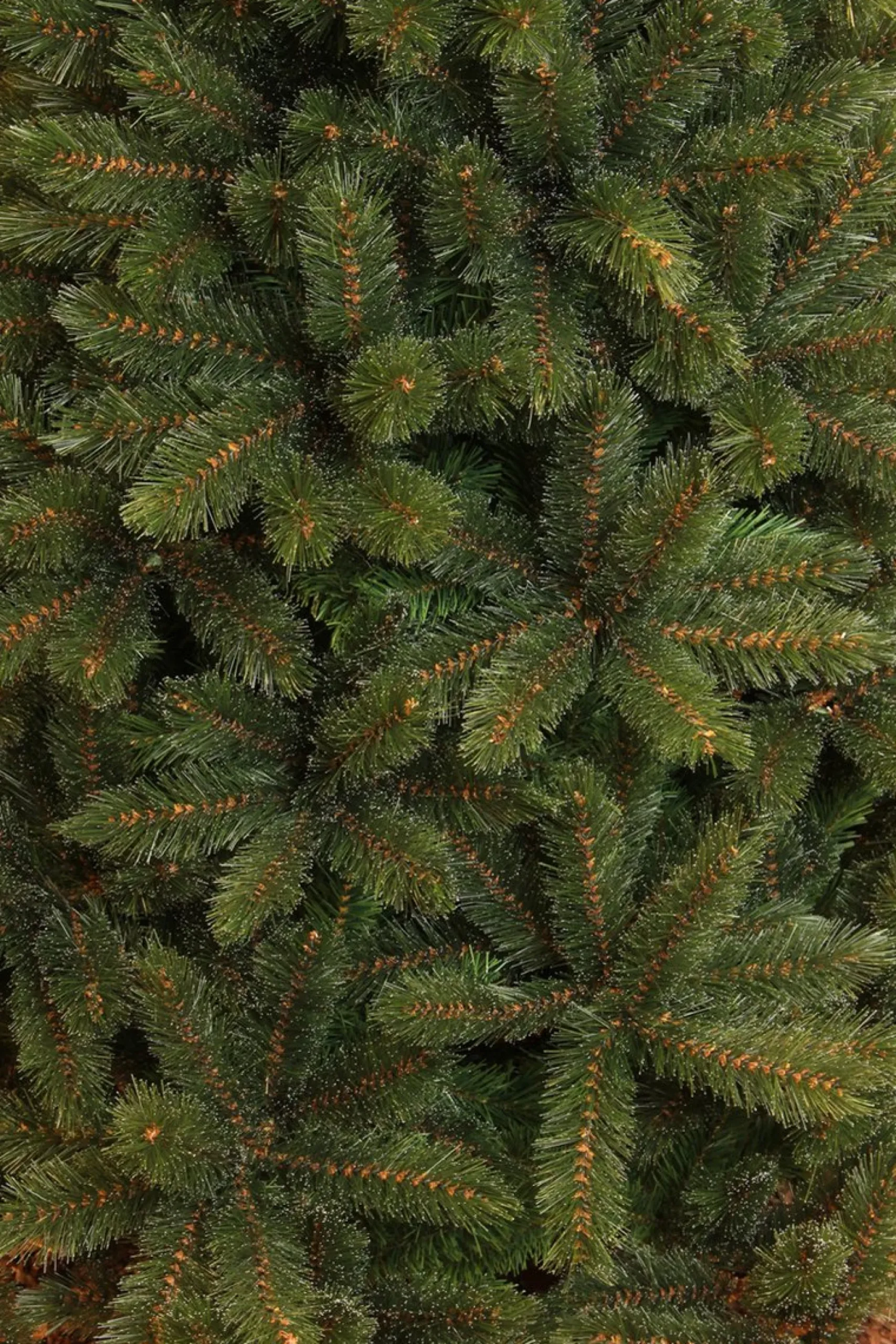 Triumph Tree Kunstkerstbomen^ Forest Frosted Kunstkerstboom - H155 X O119 Cm - Groen