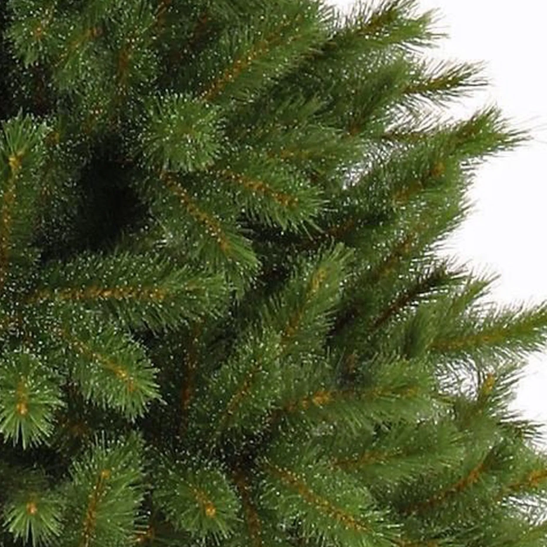 Triumph Tree Kunstkerstbomen^ - Forest Frosted Pine Kerstboom Groen - H305Xd188Cm