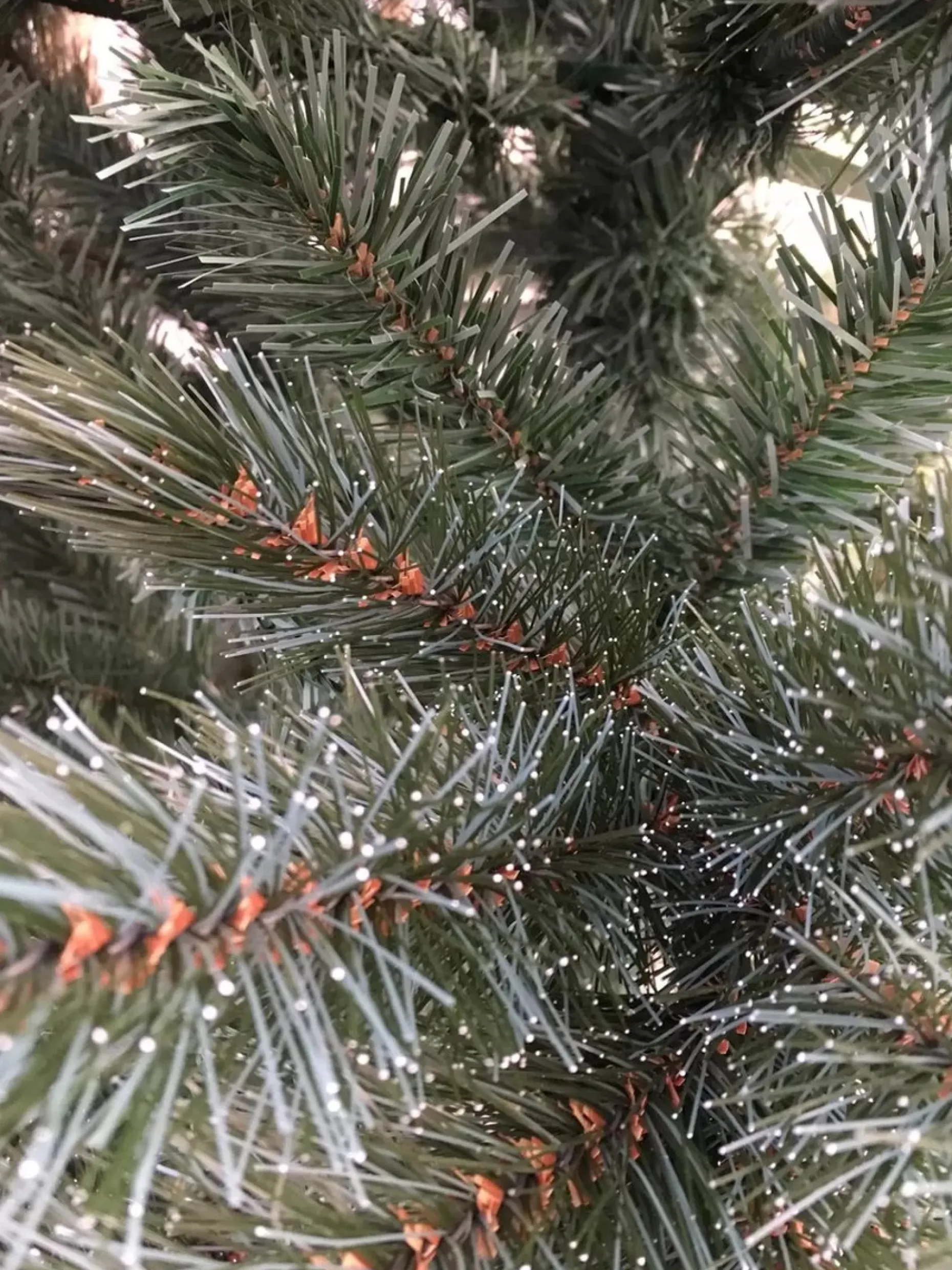 Triumph Tree Kunstkerstbomen^ Forest Frosted Slim Kunstkerstboom - H185Cm - Blauw