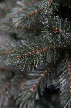 Triumph Tree Kunstkerstbomen^ Forest Frosted Slim Kunstkerstboom - H185Cm - Blauw