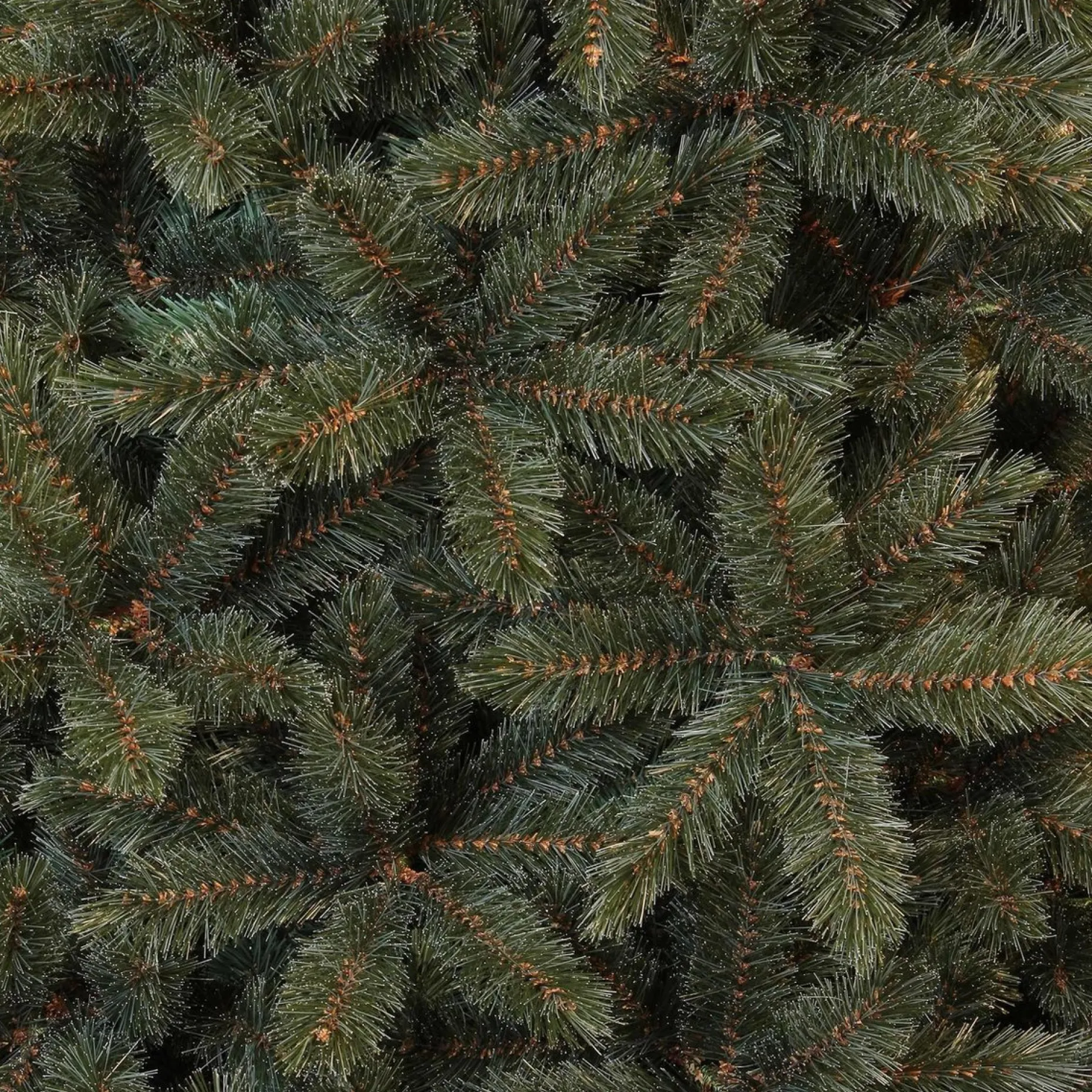 Triumph Tree Kunstkerstbomen^ - Kerstboom Forest Frosted H185D130 Newgrowth Blue Tips 942