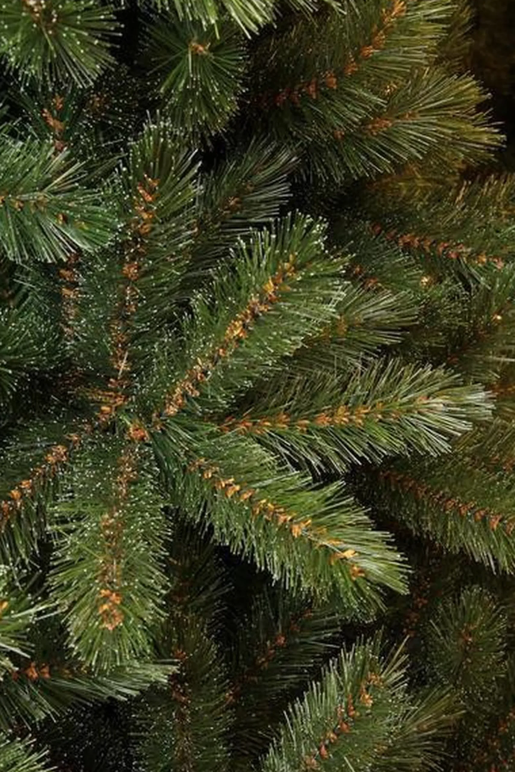 Triumph Tree Kunstkerstbomen^ - Kerstboom Forest Frosted H185D130 Newgrowth Blue Tips 942