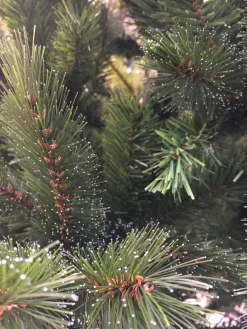 Triumph Tree Kunstkerstbomen^ - Kunstkerstboom - Forest Frosted Slim - Groen - 230Cm 230 Cm