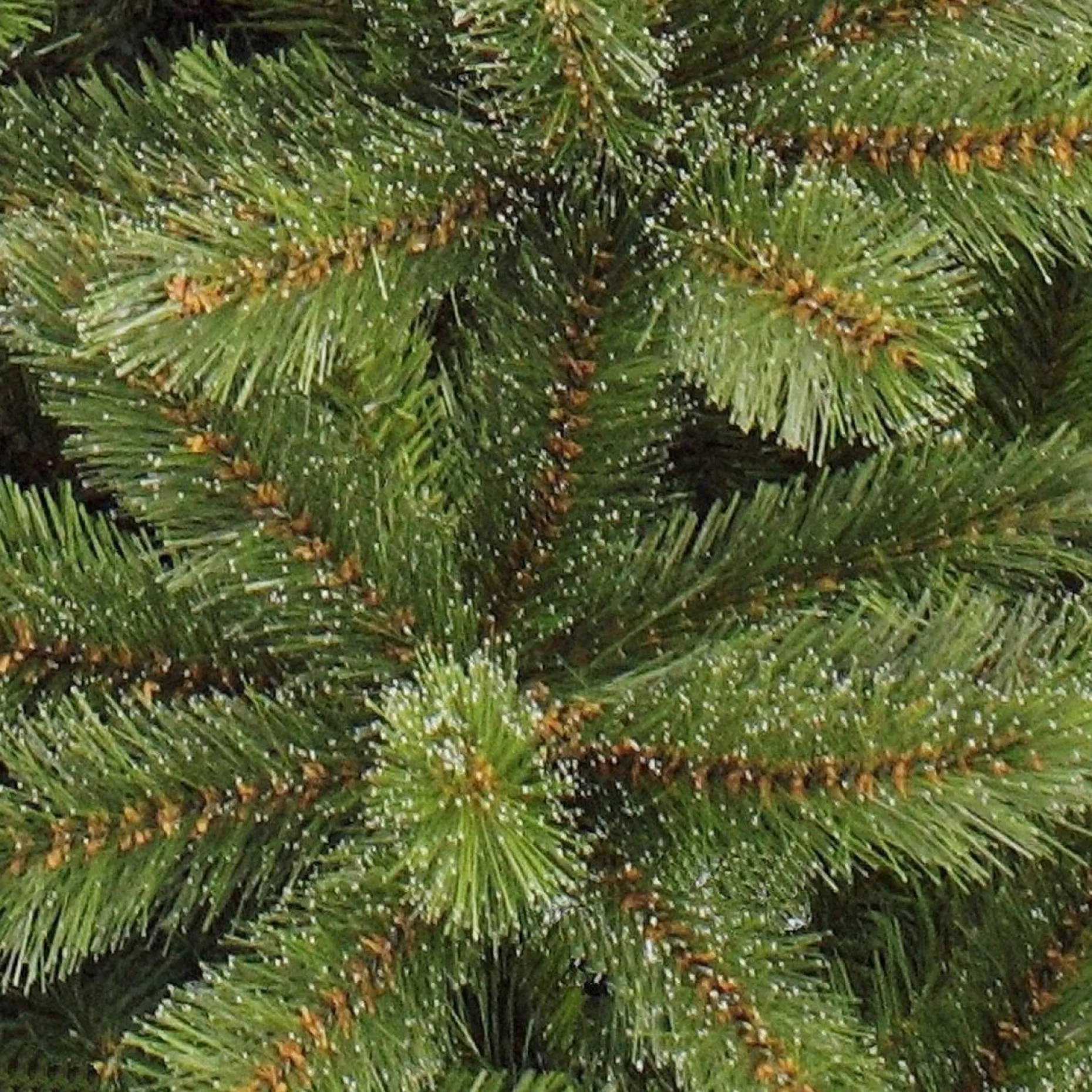 Triumph Tree Kunstkerstbomen^ - Kunstkerstboom - Forest Frosted Slim - Groen - 230Cm 230 Cm