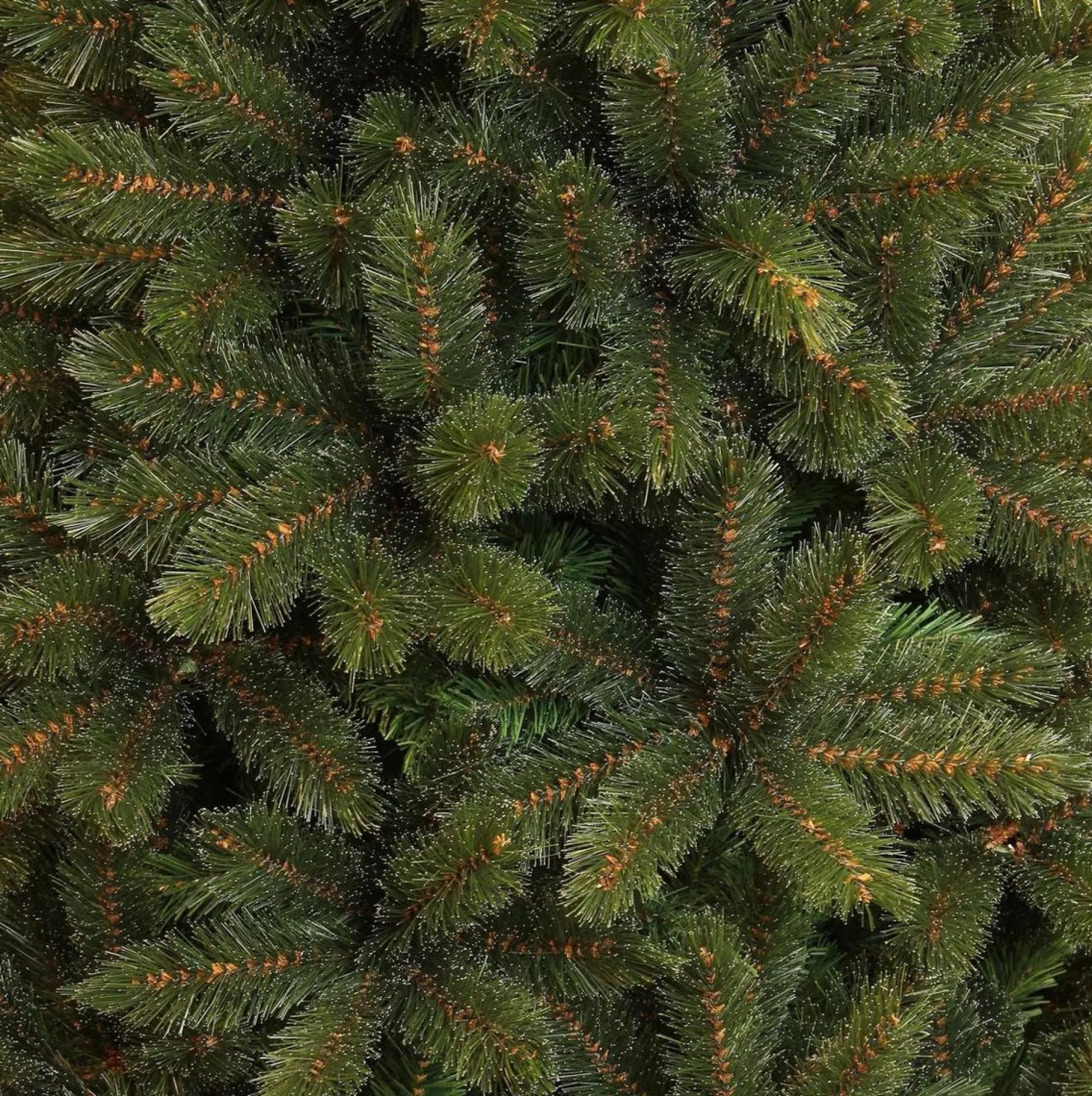 Triumph Tree Kunstkerstbomen^ - Kunstkerstboom - Forest Frosted Slim - Groen - 230Cm 230 Cm