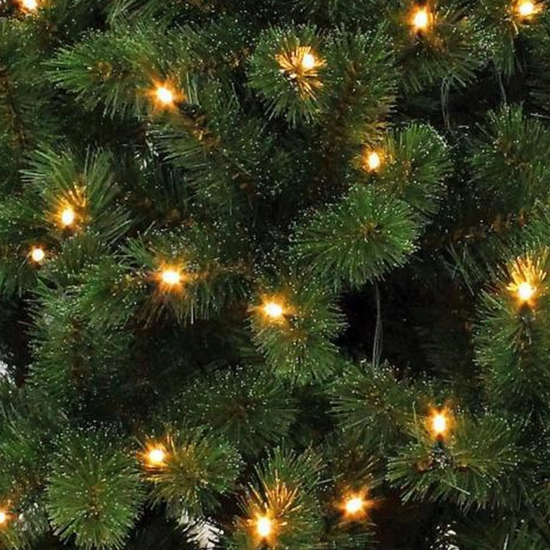 Triumph Tree Kunstkerstbomen^ Kunstkerstboom Forest Frosted Pine - 215 X 140 Cm - 304 Led Warm Wit - Donkergroen