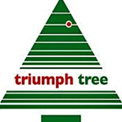 Triumph Tree Kunstkerstbomen^ Kunstkerstboom Forest Frosted Pine - 215 X 140 Cm - 304 Led Warm Wit - Donkergroen