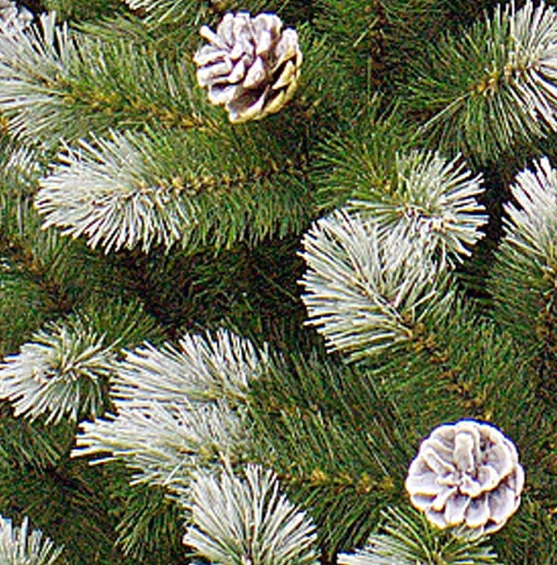 Triumph Tree Kunstkerstbomen^ Pittsburgh Kunstkerstboom - H185 X O102 Cm - Groen