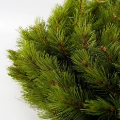 Triumph Tree Richmond Kerstkrans - O60 Cm - Groen Sale