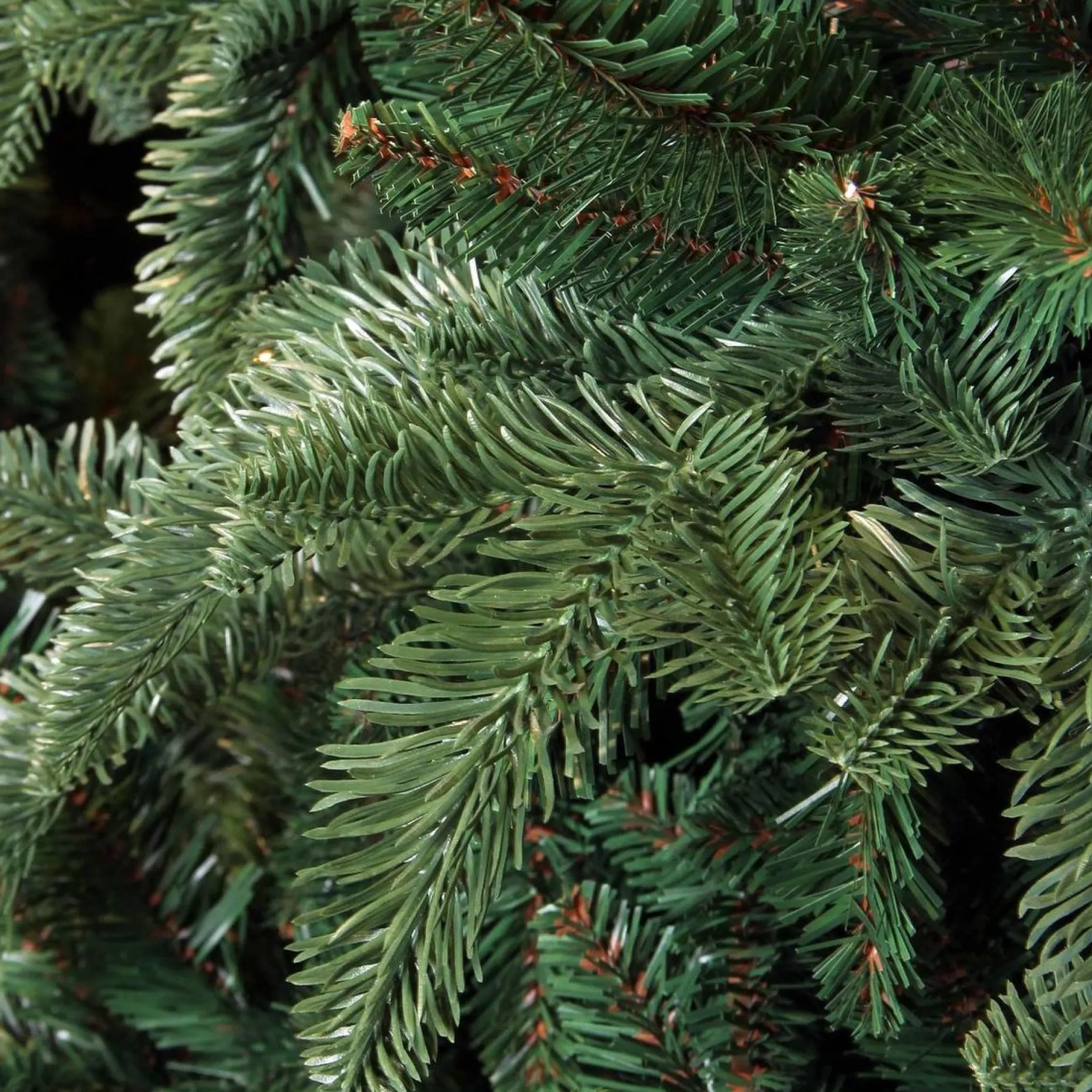 Triumph Tree Kunstkerstbomen^ Smalle Kunstkerstboom Deluxe Abies Nordmann Maat In Cm: 185 X 114 Groen - Groen