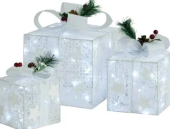 vidaXL Verlichte Kerstfiguren^ Kerstdecoratie Geschenkdozen 3 St Binnen/Buiten Wit