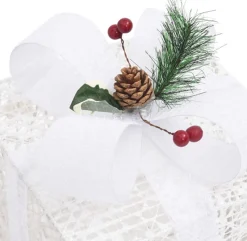 vidaXL Verlichte Kerstfiguren^ Kerstdecoratie Geschenkdozen 3 St Binnen/Buiten Wit