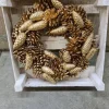 * Wr. Pinea Mix Platina D30 Cheap