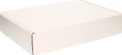 Bellatio Decorations Kerstspullen Opbergers^2X Kerstballen Opbergen Opbergboxen Voor Kerstballen Van 8 Cm - Opbergdozen/Sorteerdozen - Met 20X 8 Cm Vakken - 2 Stuks