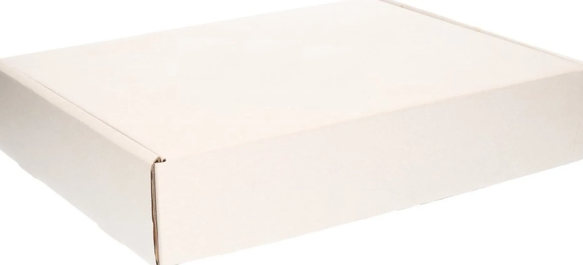 Bellatio Decorations Kerstspullen Opbergers^4X Kerstballen Opbergen Opbergboxen Voor Kerstballen Van 8 Cm - Opbergdozen/Sorteerdozen - Met 20X 8 Cm Vakken - 2 Stuks