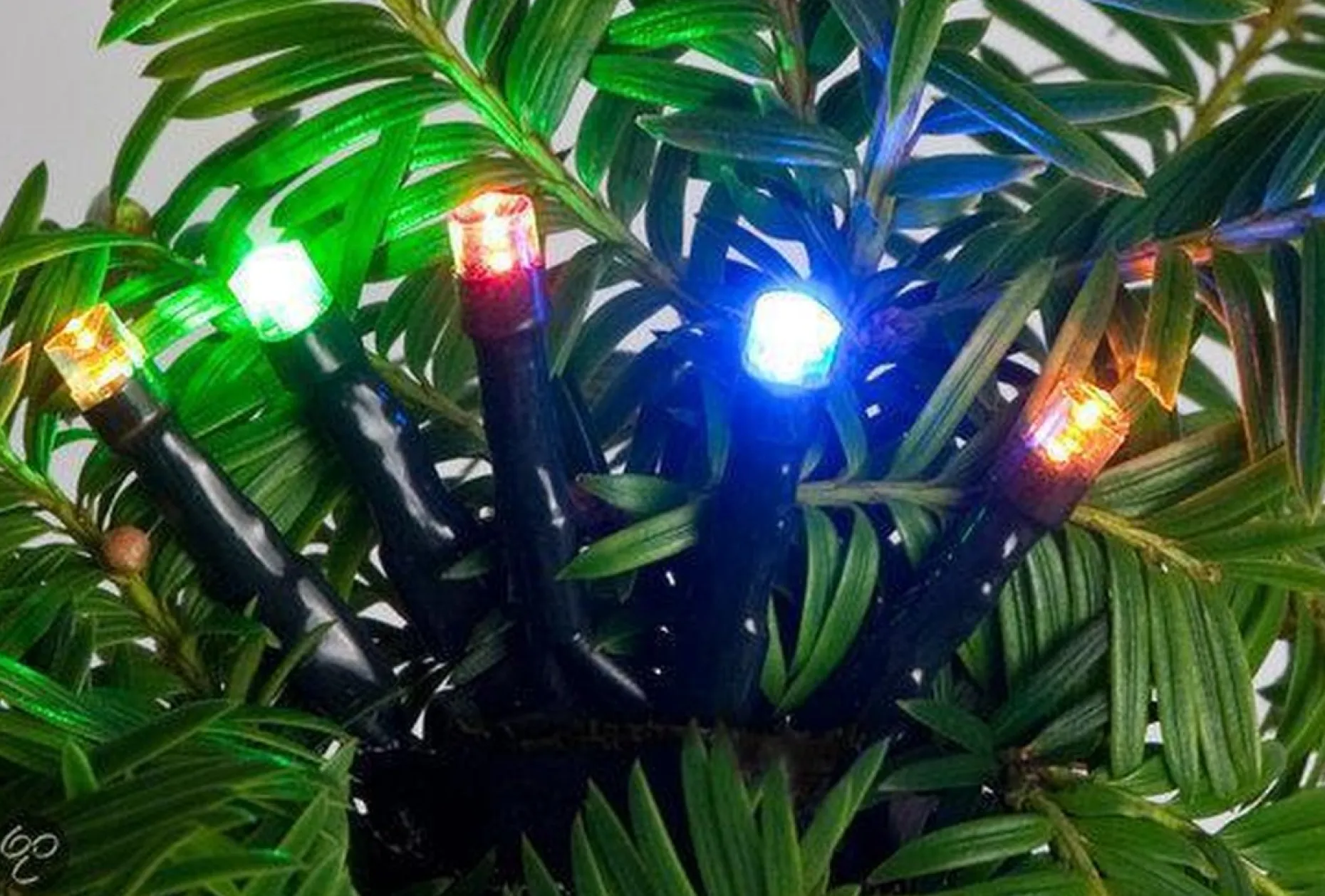 Anna's Collection Kerstlichtsnoeren^1X Kerstverlichting 40 Gekleurde Leds Met Dimmer En Timer - Voor Buiten En Binnen - Boomverlichting