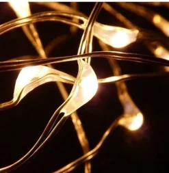 Anna's Collection Kerstlichtsnoeren^2X Koperen Kerstverlichting Met Timer 20 Led Lampjes 1 Meter