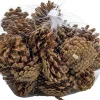 Merkloos Zak Met 200 Gram Decoratie Dennenappels Bruin - Kerststukje/Herfststukje Versiering - Dennenappeltjes Cheap