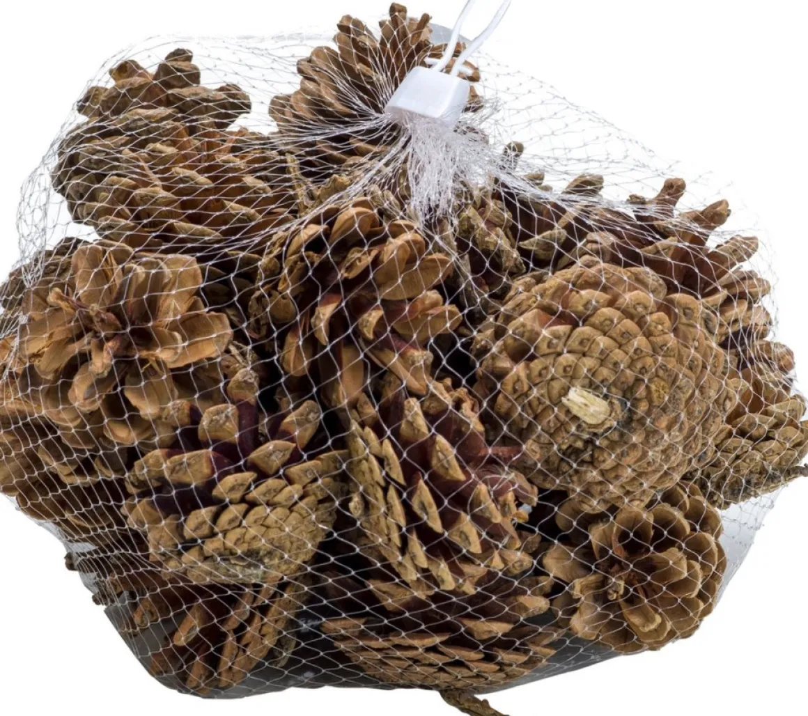 Merkloos Zak Met 200 Gram Decoratie Dennenappels Bruin - Kerststukje/Herfststukje Versiering - Dennenappeltjes Cheap