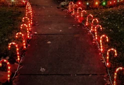 WT trading Verlichte Kerstfiguren^Zuurstok Kerstverlichting – 10 Zuurstokken – Inclusief Grondpennen